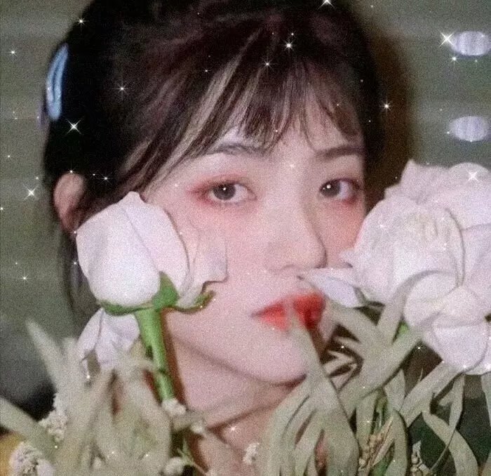 茄子 安达鲁西亚之夏